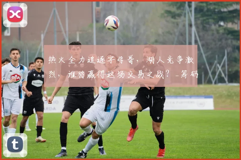 热火全力追逐字母哥，湖人竞争激烈，谁将赢得这场交易之战？_筹码_空间_首轮